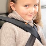 other vehicle adaptations - harness
